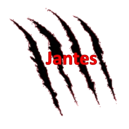 Jantes - Mitsubishi