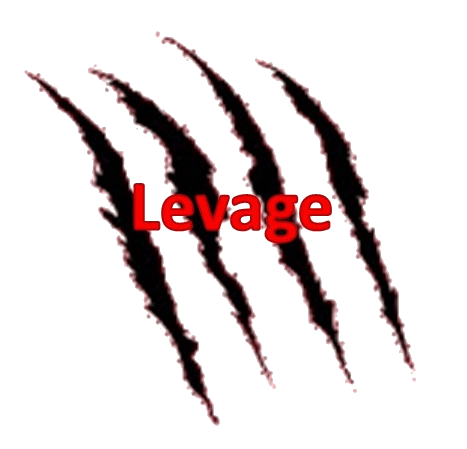 Levage