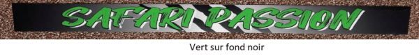 Bannière pare brise vert sur fond noir png