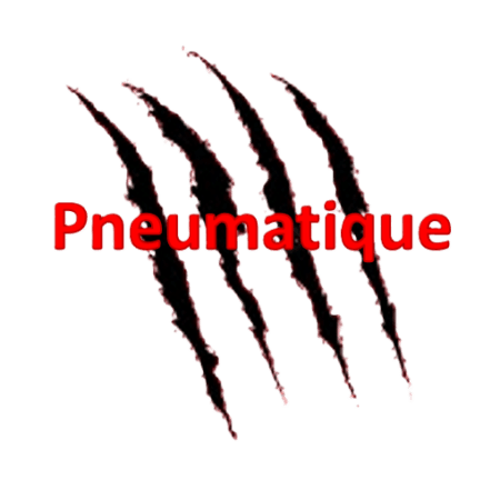 Pneumatique